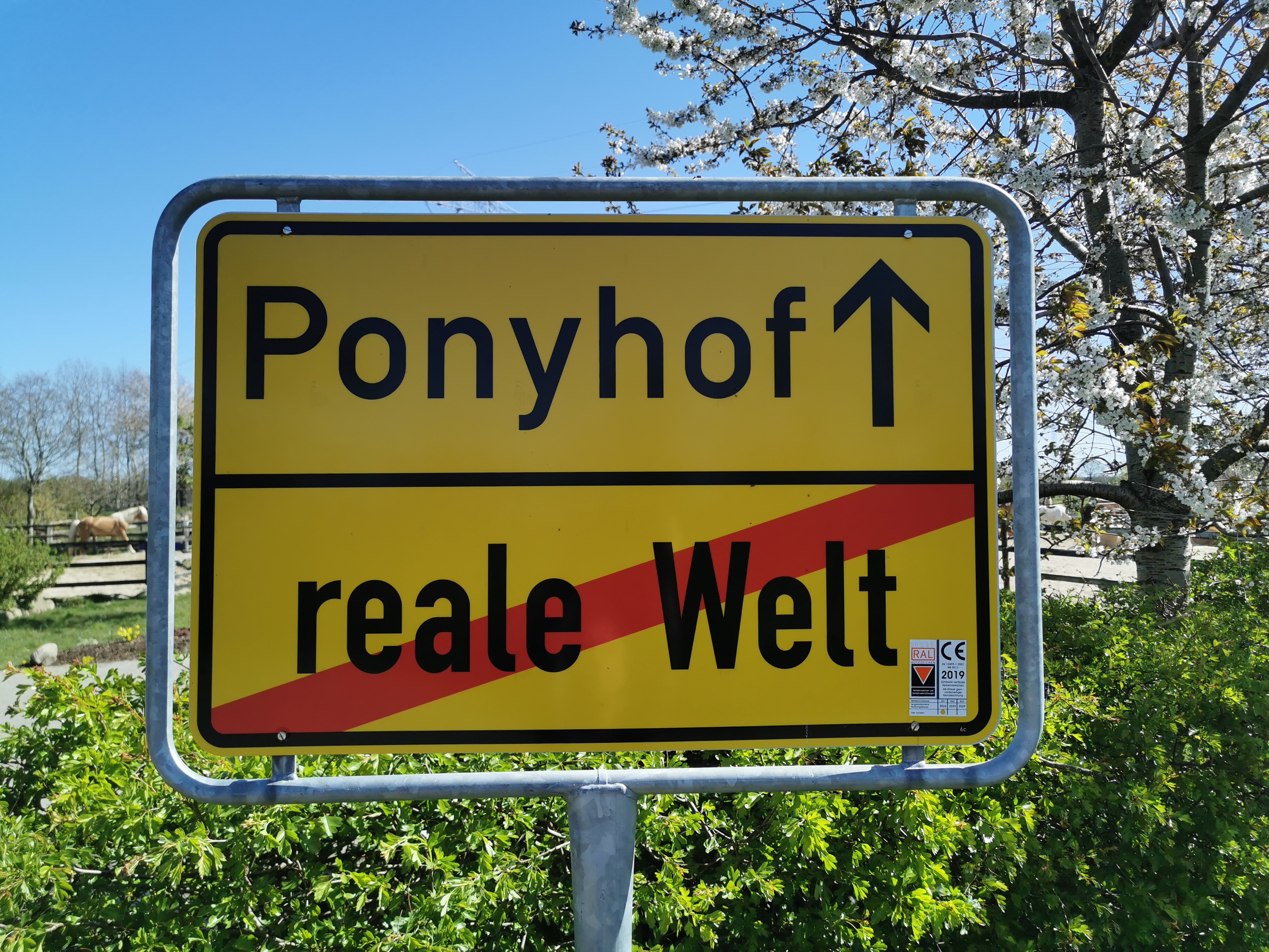 Ponyhof von Allwörden in Deinste